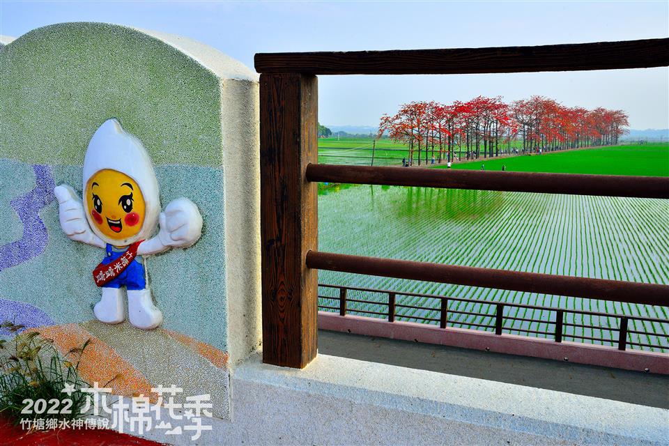 水神傳說木棉花攝影比賽得獎作品【銀獎】張家進-竹塘米寶寶與木棉花