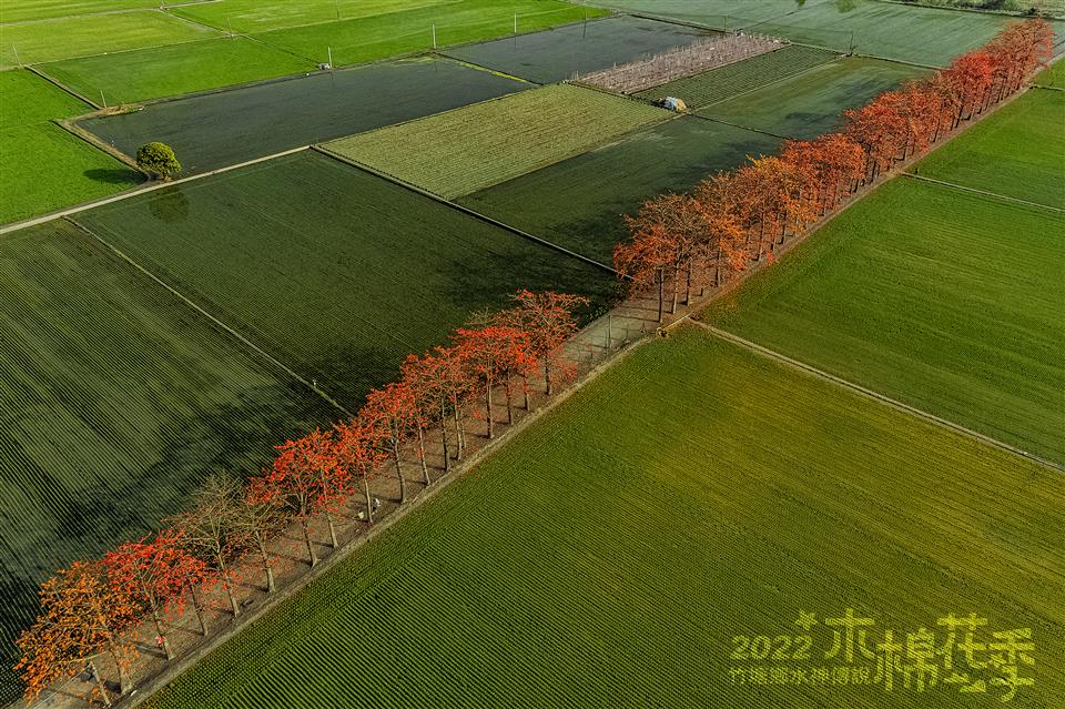 水神傳說木棉花攝影比賽得獎作品【銅獎】鄭有益-竹塘木棉花風光