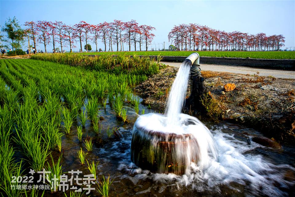 水神傳說木棉花攝影比賽得獎作品【優選】張凱智-竹塘木棉花美景
