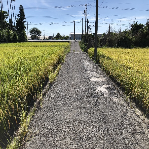埤頭鄉斗苑東路453巷及崙子路343巷崙子南路536號宅前施工前