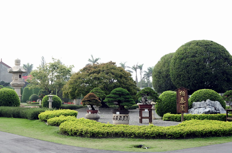萬景藝苑萬景藝苑位於彰化縣溪州鄉，1992年陳蒼興董事長看到百年老樟躺在樟腦油工廠前，仍吐出嫩芽，心生憐恤而購買認養，讓百年老樟重續生命；因此因緣而成立老樹收容銀行，進而創辦以台灣原生植栽為主的園林。十餘年來陸續擴充及增添園區內景緻建築，目前已為台灣最大、最優的園林，園區遍布稀珍花、木、樹、石，已有世界級園庭之大器。

