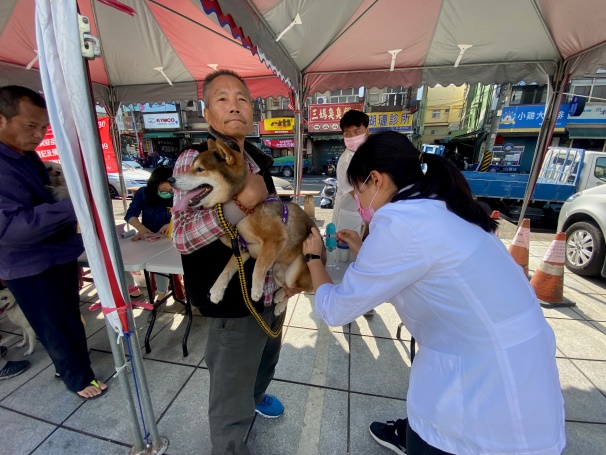 109年度永靖鄉寵物登記及狂犬病疫苗預防注射活動防疫所吳靜裴獸醫師幫毛小孩接種狂犬病疫苗
